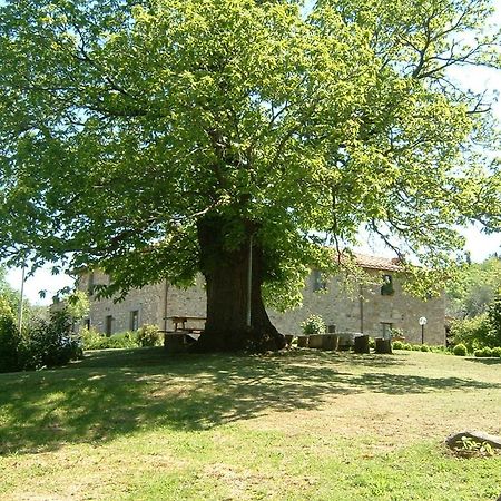 Вилла Antico Casale Pozzuolo Седжано Экстерьер фото